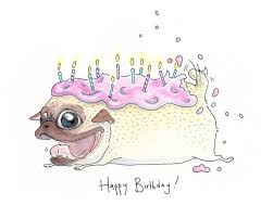 Pin By Jessica Macquarie On Pugs Not Bombs Pugs Funny Happy Birthday Dog Pugs