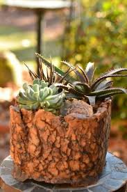 Pat Enderly Small Clay Pot Clay Flower Pots Succulent Pots