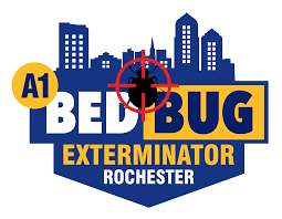 Rochester, ny, sits on the southern shore of lake ontario, and residents enjoy warm, humid summers. 1 Bed Bug Exterminator In Rochester Ny Control Removal Treatments