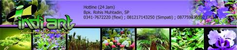 Puring, puding atau kroton (codiaeum variegatum) adalah tanaman hias pekarangan populer berbentuk perdu dengan bentuk dan warna daun yang sangat bervariasi. Nama Latin Tanaman Tanaman Bunga Tanaman Hias Gambar Tanaman Tanaman Air Tanaman Anggrek