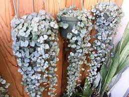 Pin On Home Decor