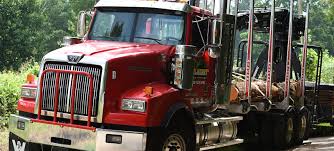 We, at hugos tree services, have the knowledge and experience, as well as the commitment to excellence to provide you with timely and efficient outdoor work that you. Home Kilmurry S Tree Service
