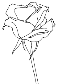 Pflanzen Zeichnen Baume Blumen Und Pilze Zeichnen Und Malen