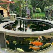 Koi paling cocok dipelihara di kolam besar yang banyak filternya, dengan air yang diganti setiap minggu. Peralatan Yang Dibutuhkan Untuk Membuat Kolam Ikan Koi Kontraktor Kolam Renang
