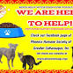 Drive Through Pet Food Pantry