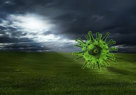 Comitetul național pentru situații de urgență propune prelungirea stării de alertă în românia cu încă 30 de zile, începând de vineri, 12 februarie. 7ejlnsftemo8zm