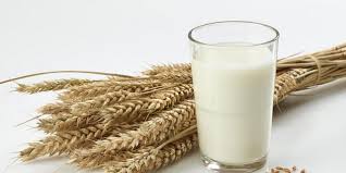 Soja Mandel Oder Hafer Pflanzenmilch Im Test