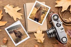 Resize images, add customizable filters, text and more. Photo Frames Images Photo Effects And Online Photo Editor