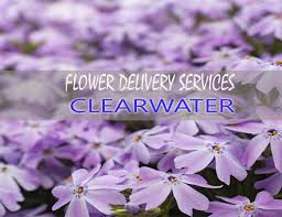 Jamie hawkinsphyllis hawkins, 59ray hawkins. The 9 Best Options For Flower Delivery In Little Rock Arkansas 2021