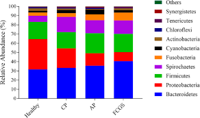 It is one of the most common diseases in cats today. The Subgingival Microbial Community Of Feline Periodontitis And Gingivostomatitis Characterization And Comparison Between Diseased And Healthy Cats Scientific Reports