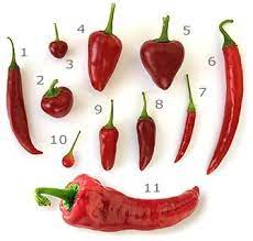 Peperoncino is the generic italian name for hot chili peppers, specifically some regional cultivars of the species capsicum annuum and c. Peperoncino Feuerflocken Calabria Chilis Grob Online Kaufen Pepperworld Hot Shop