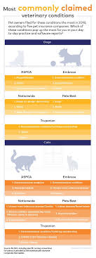 They enjoy spa treatments on the regular. Top 3 Most Common Pet Insurance Claims