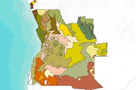 The vegetation of africa, a descriptive memoir to accompany tha unesco/aetfat/unso vegetation map of africa (3 plates. Safari 2000 Nbi Vegetation Map Of The Savannas Of Southern Africa Angola Data Basin