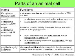 We did not find results for: Cell Structure And Organisation