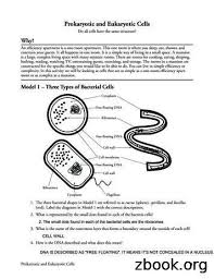 Thanks for stopping by, this is 2. Prokaryotic Cells Eukaryotic Cells And Hiv Structures Pdf Free Download