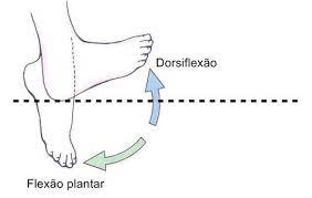 os melhores exercicios para posterior de coxa veja mais em https www barbell com br exercicios para poster com imagens coxas levantamento de barra bolsa termica fitness
