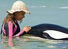 A 'source' close to the family reportedly told new idea on monday, that bindi is. Free Willy Escape From Pirate S Cove Blu Ray Review High Def Digest