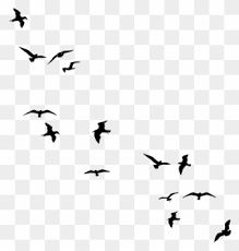 Simple bird silhouette clip art. Free Png Simple Bird Clip Art Download Pinclipart