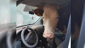 These are based on the cost doc … Inek Haberleri Sayfa 2 2 Tele1