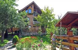 We did not find results for: Cazare Romania Cu Vouchere Tichete Card De VacanÈ›Äƒ Travelminit Ro