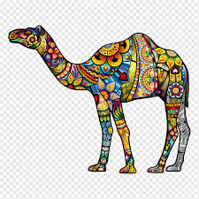 Snout of a white camel in camel market (souq), wholesale markets area. Book Desert Png Images Pngwing