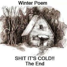 Winter Poem By Abigail Elizabeth Mcintyre Winter Poems Winter Humor Funny