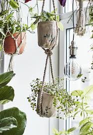 Neuheiten Neue Produkte Kollektionen Online In 2020 Pflanzenschaukel Blumenampeln Ikea Pflanzen