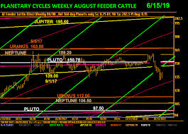Feeder Cattle Chart North American Agricultural Services