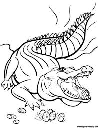 Crocodile Coloring Page In 2020 Coloring Pages Coloring Pages For Grown Ups Coloring Pages To Print