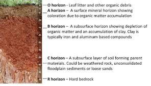 1 Soils And Plant Nutrients Nc State Extension Publications