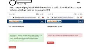 Heboh Nama Penerima Blt Umkm Mendadak Hilang Di Eform Bri Co Id Bpum Ini Yang Harus Dilakukan Supaya Uang Tidak Hangus Semua Halaman Grid Fame