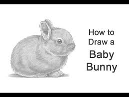How to draw a rabbit in 4 steps with photoshop in 2019. How To Draw A Rabbit Baby Youtube
