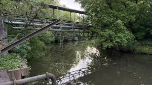 Vor den Augen der Freunde: Mädchen (16) ertrinkt in Fluss