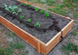 They also come in handy for watering indoor plants. Drip Irrigation For Raised Bed Gardens Organic Gardening Mother Earth News