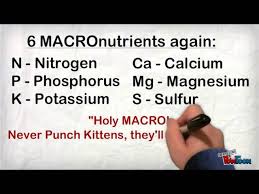 N, k, ca, mg, p, and s, and micronutrients: Nutrient Mnemonics For Plants Macro And Micronutrients Youtube