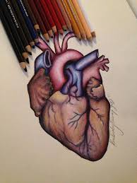 Hitta perfekta heart pencil drawings bilder och redaktionellt nyhetsbildmaterial hos getty images. Heart Prismacolor Heart Pencil Drawing Color Pencil Drawing Prismacolor