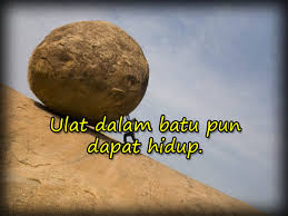Yang dikejar tak dapat, yang dikendong berciciran. 23 October 2012 Pepatah Melayu