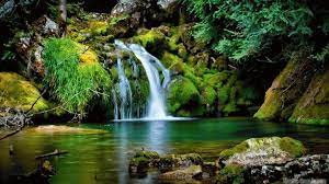 Waterfalls animated gifs video mix youtube. Best Nature Reserve Gifs Gfycat