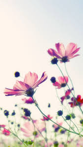 We did not find results for: Flowers Wallpapers For Mobile Free Download Great Love Art