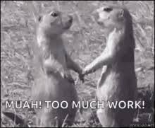 Prairie Dogging Gifs Tenor