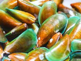 Kerang hijau kuah kuning merupakan salah satu sajian sea food yang pantas untuk dicoba. 5 Jenis Kerang Paling Favorite Untuk Dimakan Jateng Live