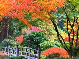 3d Nature Photo Desktop Photo Background Beautiful 1280x960 Wallpaper Teahub Io Best full hd 1920x1080 wallpapers of nature.