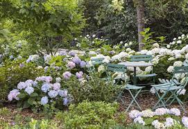 Hydrangeas French Cafe Chairs Woodside Garden Elizabeth Everdell Country Garden Design French Garden Design Garden Design