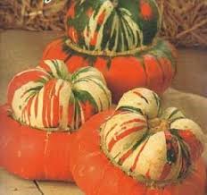 It is typically 6 pounds when mature. How To Grow Turk S Turban Squash Growing Pumpkin Gourd Seeds Mexican Hat French Cap Gardener S Network