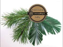 Bridgit S Quilling Scots Pine Branches With New Quilling Zigzag Technique Video 3 Youtube Quilling Techniques Quilling Pine Branch