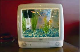 Cara membuat aquarium dari barang bekas untuk ikan cupanghallo sobat youtube.video kali ini masih tentang aquarium cupang dari barang bekas. 6 Aquarium Terunik Di Dunia
