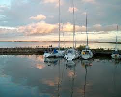 Femmøller main enjoy, xyper, keller, gustavo & roxen coach fiend. Roxen Wikipedia