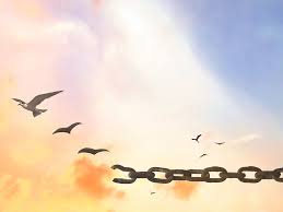 Freedom, freedom) is a brazilian telenovela produced and aired by rede globo between 11 april and 4 august 2016, consisting of 67 episodes. Amor E Liberdade