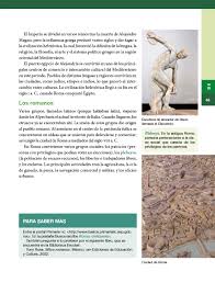 Período de la historia que abarca desde la desintegración del imperio romano de occidente en el siglo vi hasta el libro donde se encuentran los principales preceptos islámicos: Historia Sexto Grado 2017 2018 Ciclo Escolar Centro De Descargas