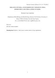 Image result for Striga aspera